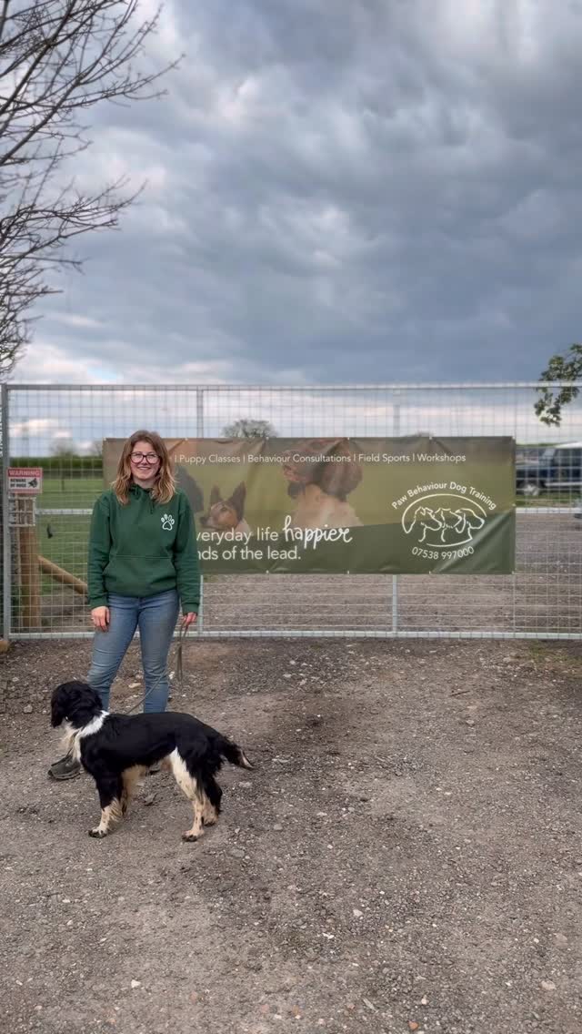 Welcome to Paw Behaviour HQ! 💚