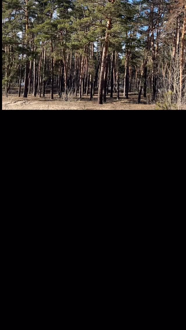 Лютий, Савинська громада 📍
Команда ГО «Юніт» отримала запит на допомогу школярам, які розпочинають навчання у новій підземній школі в Савинці.
Через небезпеку фізично відвідувати звичайні школи — це рішення стало критично важливим для всієї громади🙌🏻
І знаєте що?
Ми були реально вражені рівнем цієї школи. Це не “тимчасове укриття”, а повноцінний, безпечний освітній простір, де батьки можуть бути спокійні за своїх дітей 🙏
Ми підготували та передали 285 наборів для учнів 5–11 класів, покривши абсолютно всю громаду 💛
У кожному наборі:
• 🎒 фірмовий рюкзак ГО «Юніт»
• ✏️ вся необхідна канцелярія
• 🍎 фрукти
• 🍫 солодощі
• ☕️ термос для теплого чаю
🚗 1300 км дороги в обидві сторони, прифронтова зона і величезне бажання підтримати!
Бо навіть у найскладніших умовах діти мають відчувати: про них дбають 🤍