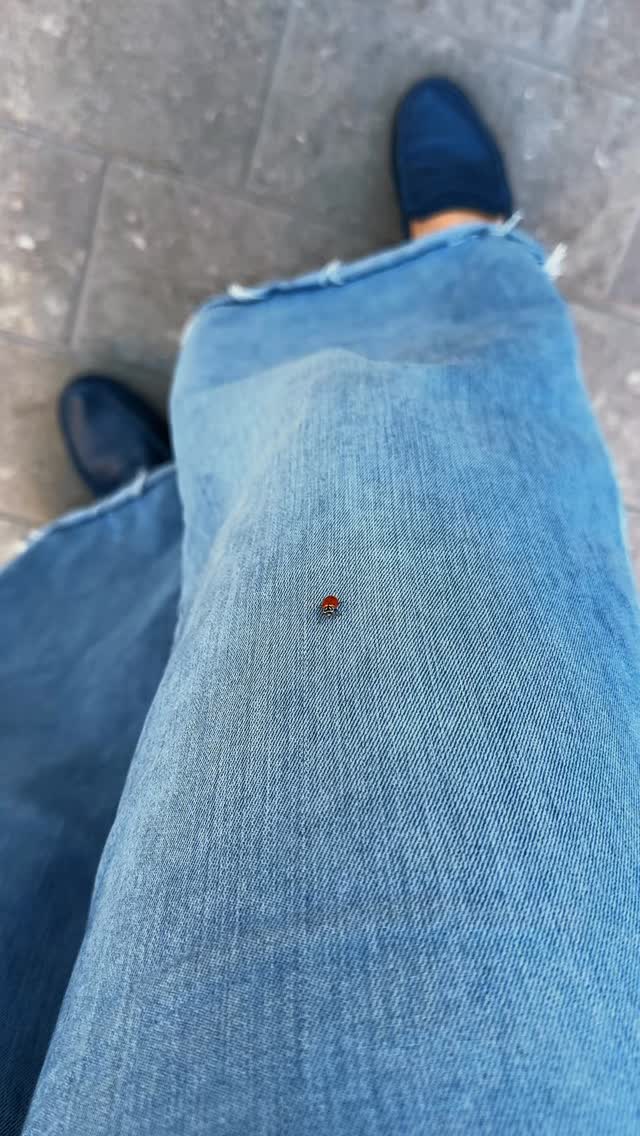 I don’t know who needs to hear this, but you don’t need a sign.
You just need to slow down long enough to notice. 💜
Today it was a ladybug climbing up my leg.
Tiny.
Unhurried.
Easy to miss if I was rushing to the next thing, checking the next notification, or living too fast to pay attention.
But that is the thing about proximity.
When you slow down, you start noticing what was there all along.
The nudge.
The peace.
The beauty.
The reminder that not every holy moment arrives loud.
Some of them land softly.
Some of them crawl gently into your awareness and remind you that God is still near, still speaking, still inviting you to pay attention.
Around here, we are learning that a hurried life will make you miss what a present life can hold.
So no, maybe you do not need a sign.
Maybe you just need a slower pace, softer eyes, and a heart open enough to notice what God is already placing in front of you. 💜
That was just a SIP.
For the full pour, stay close. 💜
#faith #christianwomen #womenoffaith #faithjourney #love