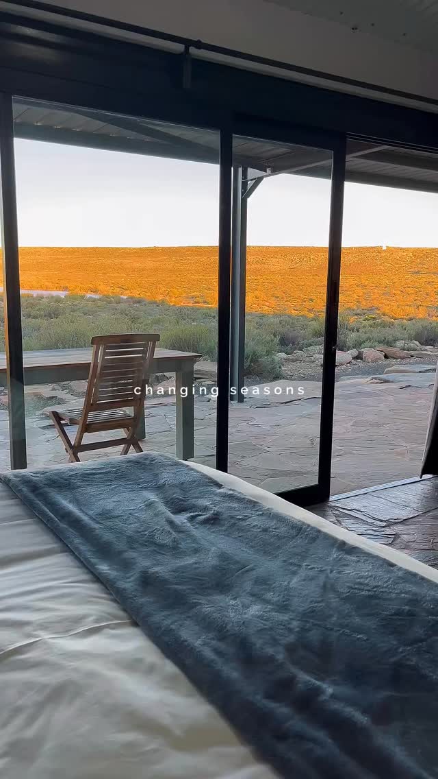 March at Rogge Cloof is a gentle transition, warm days, cooler nights, and the veld beginning to shift from summer gold to soft autumn tones.
Wander the wide-open plains, listen to the wind through the Karoo shrubs and our 100 year old pear trees, and let the quiet settle around you.
It’s a time for slow walks, a moment with a coffee on the stoep, and sunsets that paint the sky in colours you won’t forget.
Have a look at the link in our bio to plan your escape into the calm of the Karoo.
#luxuryecotravel #darkskyreserve #travelsouthafrica #karoo #karoolife
karooaccommodation hikingadventures hikingsouthafrica cheetahconservation cheetah sustainabletravel stargazing astrophotography sutherland astronomylover