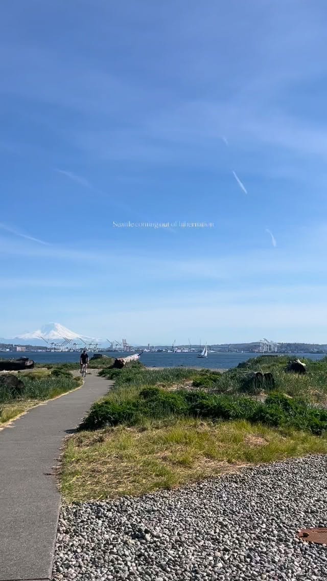 That first sunny weekend that cures everyone’s seasonal depression ☀️😎🦑⛵️🐋🐚
#seattle #seattlespring #pugetsound