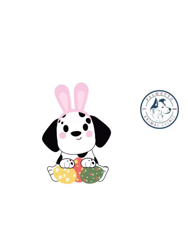 🐣🌿 Somebunny told us it’s time to celebrate… 🐰
And our Palmetto Animal Clinic family couldn’t agree more 💛
Today we’re celebrating wagging tails, soft purrs, and the unconditional love our pets bring into our lives every single day 🐾✨
Happy Easter to all our amazing clients and their furry companions! 🌷🐶🐱
#PalmettoAnimalClinic #EasterWithPets #SomebunnyLovesYou #PetFamily #VetLife FurryLove SpringFeels