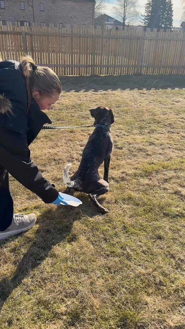 Kvalitetssikring tatt til et nytt nivå 🤭
