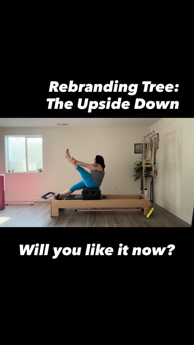 Rebranding Tree as The Upside Down🙃
Get sweaty, be messy, try hard things…strange things? 🙃🙃🙃🙃🙃
What exercise do you love that others hate? And how would you rebrand it???
#pilates #lowimpactworkout #plussizepilates #plussizefitness #fatpilates