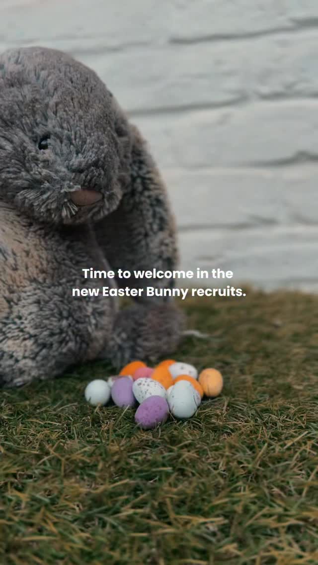 What if you were actually meant to have 80% more eggs but the Easter Bunny couldn’t help themselves? ✨ Happy gobbling friends 🥚🌸