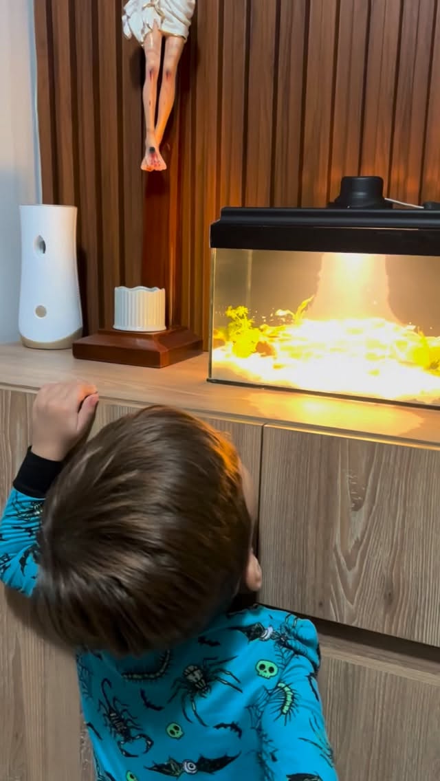 🌱✨ Dale vida a tu espacio con Nanoecosistema Marena
Un pequeño mundo natural que se cuida solo y transforma cualquier rincón en un ambiente lleno de calma, equilibrio y estilo.
💧 Autosostenible
🌿 Fácil de mantener
🧘♀️ Ideal para reducir el estrés
No es solo decoración… es naturaleza viva en tus manos.
#NanoecosistemaMarena #NaturalezaEnCasa #DecoraciónNatural #Bienestar