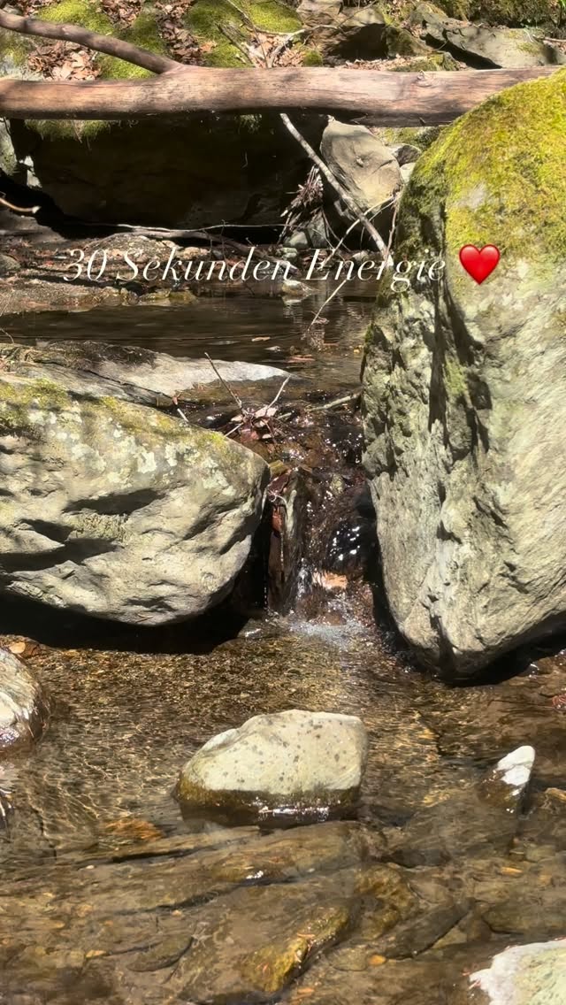 Energie tanken in 30 Sekunden ❤️ #mel4animal #veldenamwörthersee #waldbaden #energy