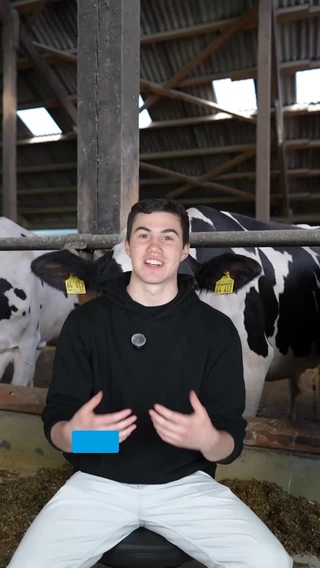 Was steckt eigentlich hinter DairyQ? 🐄
Ein 2-jähriges Traineeprogramm, sieben Betriebe und jede Menge Praxis, Wissen und Entwicklungsmöglichkeiten. 💪
👉 Bereit für deine Zukunft im Herdenmanagement?
#dairyq #trainee #herdenmanagemant #landwirtschaft