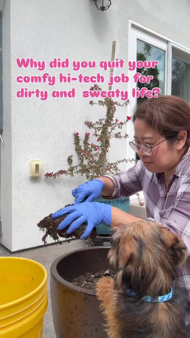 It was a scary decision. We are jumping into the unknown- taking all the risks.
We couldn’t do this without YOU all. Every single message, every word of encouragement, every purchase, every save, bookmark, emojis…. The Journey is wild! 💚🌱💚🌱
Love you all. Happy Friday!
#happyfriyay #plantlife #plantcommunity #supportsmallbusiness #plantsarefriends