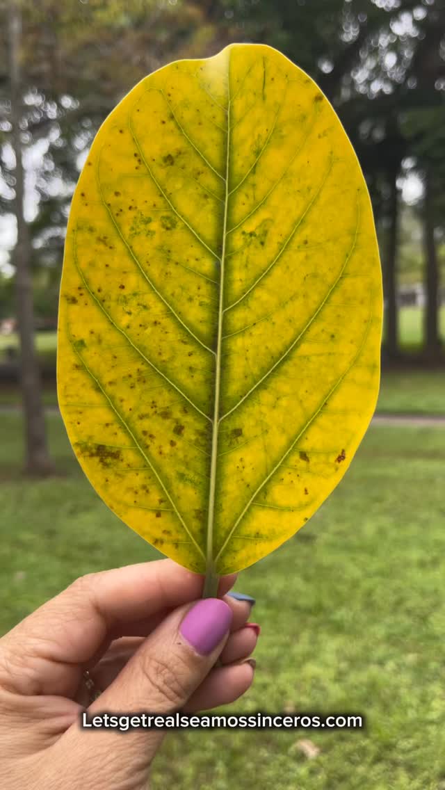 I’m looking for a few people that want to share their story in our upcoming podcast. Message me and let’s talk.