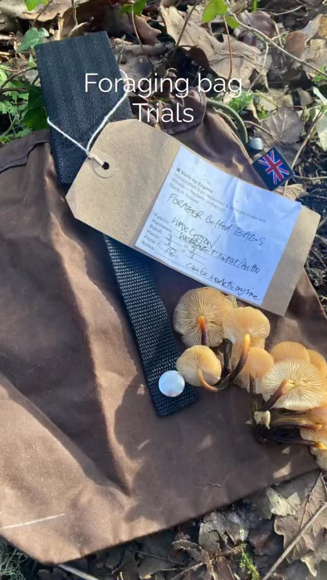 My friend Eugene sent me this rather lovely foragers bag that he made for me to test out. Fab design, it folds up small and clips around a belt making it easy to gather foraging treats hands free!
This was from a few months ago and perfect timing for discovering a little haul of velvet shank mushrooms! Thanks Eugene! @fixwheelmad
Check out his collection on Etsy https://www.etsy.com/shop/DesignSellors?ref=lp_mys_mfts
#foraging #forager #fungi #handmade #bags
