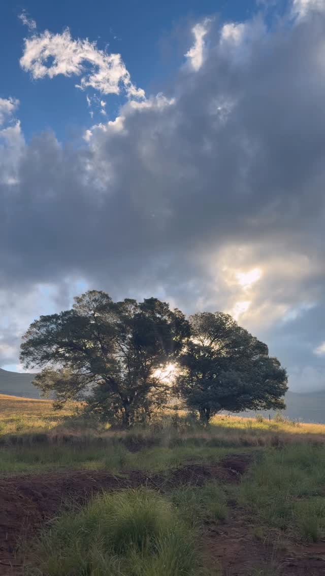 There’s something about the mountains that quiets everything.
The noise fades, the mind settles, and for a moment… you just are.
No rush. No pressure. Just stillness, fresh air, and the kind of peace you didn’t know you needed.
#drakensberg #nature #naturelovers #beautifuldestinations #drakensbergmountains