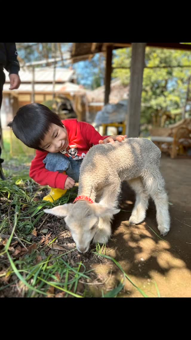 #自給農園ミルパ
#放課後等デイサービス 成田
#子ども若者ライフサポートプログラム
#むすびえ