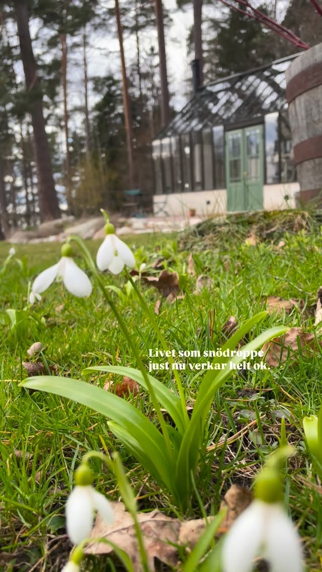 Påsken flög förbi med mysiga dagar och härliga middagar både på hemma- och bortaplan 🐣 I veckan ska jag starta upp ett större projekt på Haga Slott här i Enköping där vi ska anlägga en köksträdgård och en hel del annat. Innan dess ska jag ha planeringsmöte med Elin på @faltskogsformochflora inför våra föreläsningar på Haga den 25 april och så ska jag även ut på en konsultation. Ser fram emot en rolig vecka och såklart fortsätta följa våren gripa tag om vårt lilla land 🌷☀️