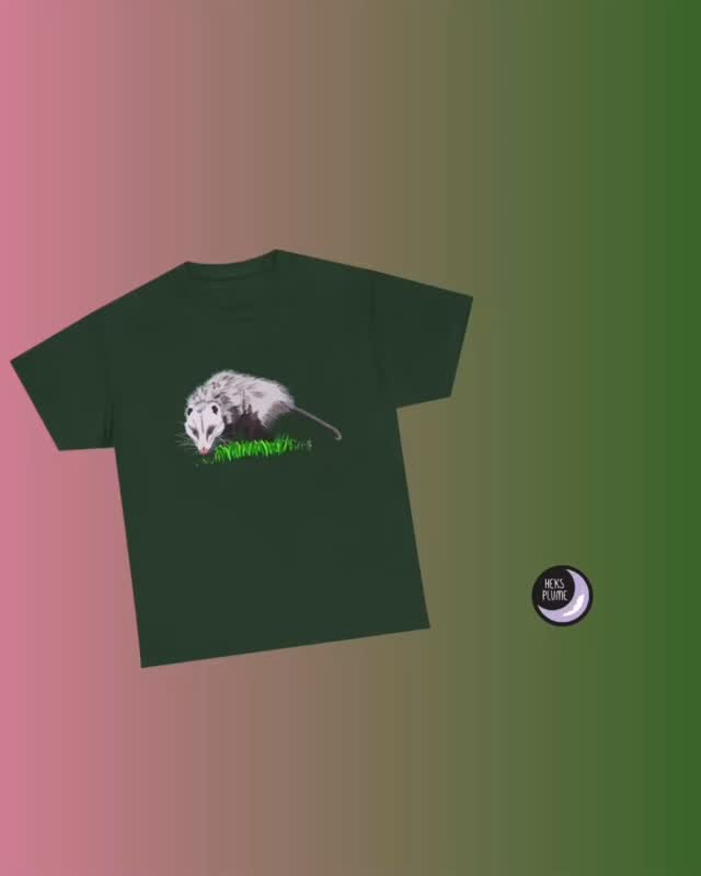 Petunia?! Is that you again out there eating my apple cores?
Wear my friendly back porch opossum proudly on your chest. They are super clean and misunderstood.
#opossum #tshirt #fashion #gremlin #possum
