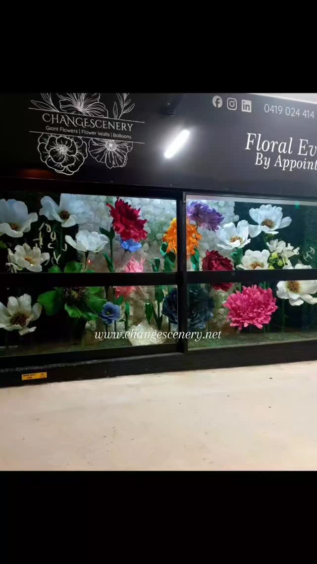 www.changescenery.net
Brisbane QLD 4151
@change_scenery - Giant Floral Window Display
551 Old Cleveland Rd, Camp Hill
#shopwindowdisplay #giantflowers #selfstandingflowers #bigflowerhirebrisbane