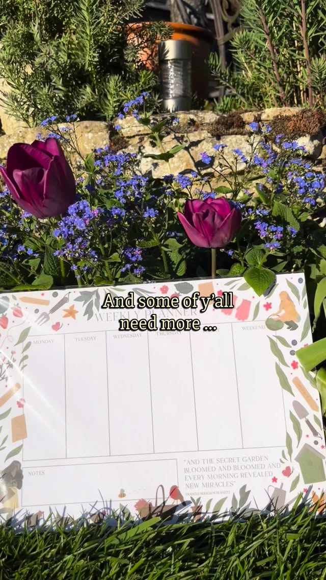 Embracing a whimsical summer 🌷💓🧺 and sharing some of my favorite things to do to add a sprinkle of magic to life:
1. Painting without purpose. As a freelance illustrator, I often find myself focused on the end result, but I'm trying to enjoy the process more 🎨
2. Watching birds and listening to their songs. There's something about their beauty and freedom that inspires me. My family and I love seeing swallows return to our stables each year 🕊️
3. Breakfast and a book. Those quiet moments in the morning are my favourite 🥐
4. Midsummer festivals! I was thrilled to design flags for the RiverLight festival last year and experience the joy of community and celebration 🌞
5. Sunset bike rides! There's something enchanting about the world when the sun is setting 🚲
What's your favorite thing to do to keep life magical?
.
.
.
.
#ukillustrator #cottagecore #cottagecorecommunity #whimsy #paintingdiary