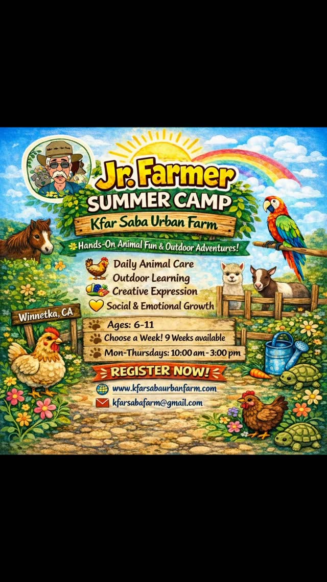 ๐๐ Jr. Farmer Summer Camp is here! ๐๐ข๐ฆ
Give your kids a summer filled with animals, nature, creativity, and unforgettable memories at Kfar Saba Urban Farm๐
Each week is packed with:
๐ hands-on animal care
๐ฑ outdoor learning & farm adventures
๐จ creative expression
๐ social & emotional growth
Perfect for ages 6โ11
๐ Winnetka, CA
๐
Choose a week โ 9 weeks available, beginning June 15th
๐ MonโThurs | 10:00 AMโ3:00 PM
ืืืฉืื ืืืืืื 6โ11
๐ ืืื ืืงื, ืงืืืคืืจื ืื
๐
ืืืจื ืฉืืืข โ 9 ืฉืืืขืืช ืืืื ืื, ืืื ืึพ15 ืืืื ื
๐ ืฉื ืโืืืืฉื | 10:00โ15:00
Spots are limited and our animals are already excited to meet their new Jr. Farmers ๐ด๐ฆ๐๐ข
Registration now open!
๐ www.kfarsabaurbanfarm.com/farmcamps
#SummerCamp2026 #FarmCamp #Experientiallearning #KfarSabaUrbanFarm