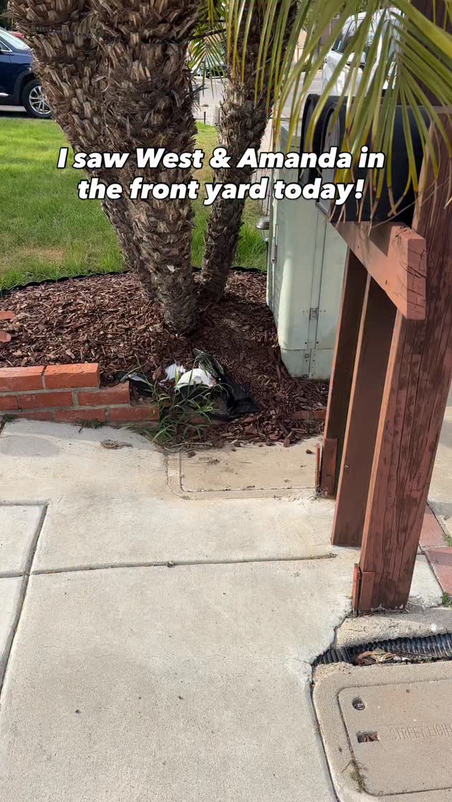 Sorry but I have to get these thoughts out of my brain! I’ve loved Summer House and Ciara from day 1 and cannot stay silent! So here are my 3 main takeaways-
1. Amanda, it’s giving codependency. It’s giving low confidence. It’s giving you have no clue how to be alone and are clinging to a man who showed you friendship in a time of need. Allegedly potentially!!!
But seriously. To date your dear friend’s ex when you’re not even divorced yet… girl please!
2. West, are you really in love, or do you just like playing Savior to girls who are needy? I said what I said!
3. Maybe the most important and controversial piece here- it’s so anti-Black. I am not saying anyone is a racist. But I’m saying when the token Black girl is vulnerable with her heart, sharing how hard it’s been to be played with by a white boy on national TV, only to then have him and her friend do this… that’s not cool. It reinforces that Black girls aren’t beautiful enough, or good enough, or you don’t want to actually be a real one for them… it feels personal to me. 🖤🖤🖤
I am not diagnosing anyone, Instagram is not therapy, I just had to share observations & my perspective.
Do you agree? Disagree? Do you have no clue who I’m discussing but want to just drop a ❤️ or 👊🏽 for solidarity?!
Thanks friends. Back to my regularly scheduled content! 💫