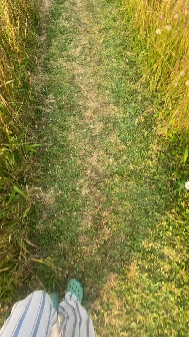 93 days to go until slow mornings, star-filled skies and properly switching off at Hayfield Hideaways, Norfolk 🏕️ 🌌
The kind of place where days feel slower, nights feel quieter, and you actually get a break…
Spacious pitches, tucked into wild grass and flowers for that added privacy, with the beach just a short walk away 🏖️
Our 2026 camping dates:
10th–20th July
29th July–1st September
Book your pitch via the link in our bio 👀