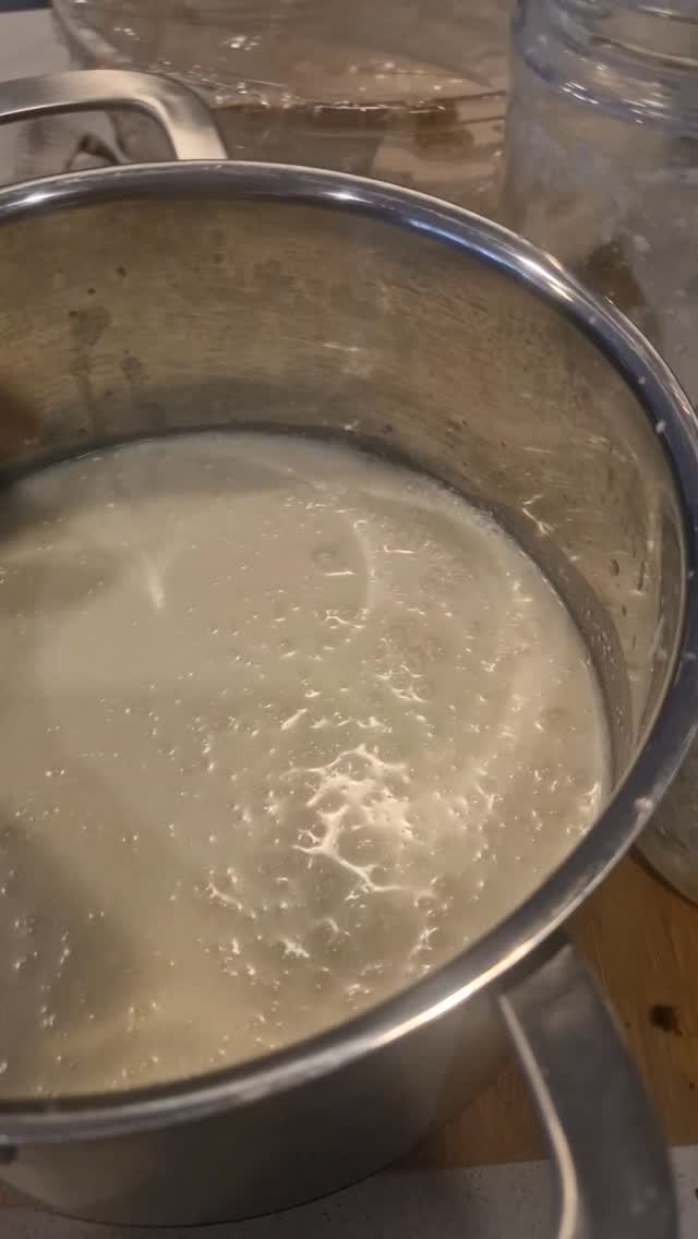 Milk kefir ✨
These little babies are one of the most powerful things you can add into your daily routine… and it’s been used for generations.
What you’re seeing here are kefir grains.
They’re alive, a natural culture made up of beneficial bacteria and yeasts that work together to transform milk into something your gut can actually recognise and use.
Unlike many store-bought “probiotics”, kefir is rich, diverse, and constantly regenerating. It doesn’t just add bacteria… it helps support the environment in your gut so the good ones can actually thrive.
For many people, it’s also much easier to digest than regular milk. The fermentation process breaks down lactose, pre-digests proteins, and enhances nutrient absorption.
From a gut healing perspective, this is exactly what we’re trying to do: support digestion, reduce stress on the body, and gently rebuild the microbiome.
Start slow. Even a teaspoon can be enough in the beginning, especially if your gut is sensitive. Let the body guide you.
Simple, traditional foods like this are where real healing begins. Not in a pill… but in what we do daily.
If this resonates and you’re wanting to understand how to bring foods like this into your routine properly, reach out or book in via my website 🧡
Www.nourishedwithlove.org ✨️
#milkkefir #guthealth #fermentedfoods #gapsdiet #microbiome