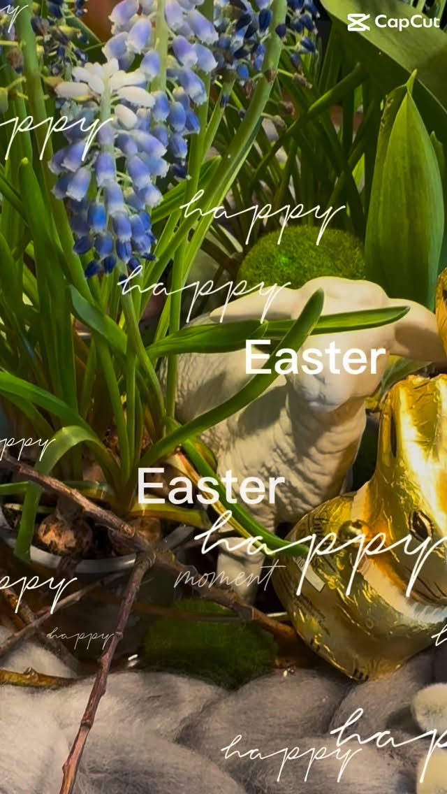 Ich wünsche euch frohe Ostern 🌷
Genießt die Feiertage, kommt ein wenig zur Ruhe und nehmt euch bewusst Zeit für die schönen Momente.
Möge diese Osterzeit euch neue Energie, Leichtigkeit und viele kleine Glücksmomente schenken.
Danke, dass ihr da seid und mir euer Vertrauen schenkt. ✨
#froheostern #ostern #ostergrüße #happyeaster #feiertage