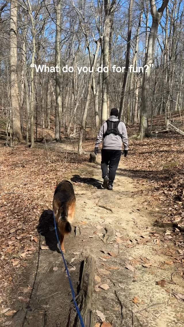 Springtime fun 🤩 #dogsofinstagram #gsd #gsdofinstagram #germanshepherd #gsdlife
