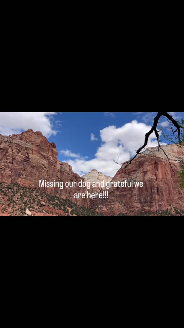 My wife and I exploring Zion National Park!
#rrmentors #embodiedrelationships #relationshiprevolutionmentoring #wlw #somatichealing