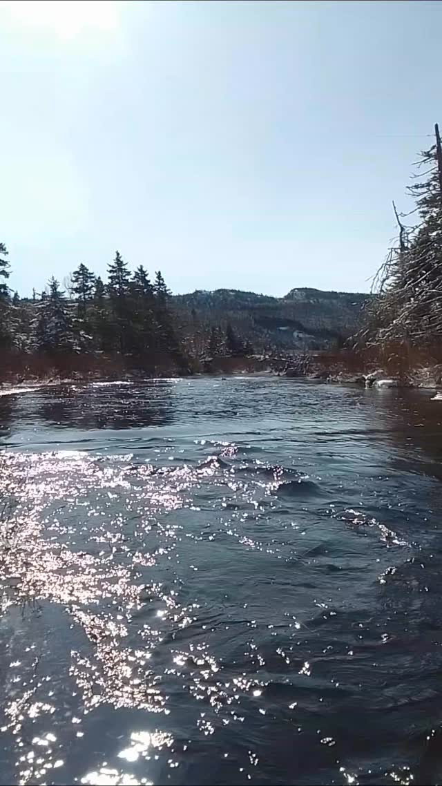 Spot the duck! 🤍💙