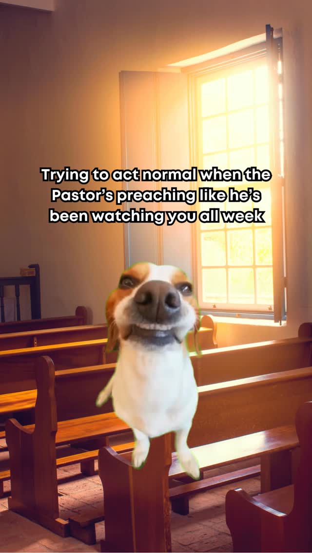 Completely forgotten how to work my face 😅
#TheFaithTherapist #ChristianMeme #ChristianMemes #ChristianHumor #ChristianFunnies