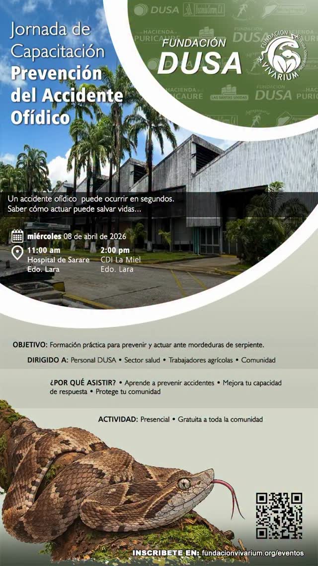 🐍 Un accidente ofídico puede ocurrir en segundos. Saber cómo actuar puede salvar vidas.
Te invitamos a nuestra Jornada de Capacitación en Prevención del Accidente Ofídico, una formación práctica dirigida a comunidades, trabajadores y personal de salud.
Aprenderás a:
✔ Prevenir accidentes
✔ Reconocer signos de envenenamiento
✔ Actuar correctamente ante una mordedura
📍 PROGRAMACIÓN
📅 Miercoles 08 de abril de 2026
🕚 11:00 am – Hospital de Sarare, Edo Lara
🕑 2:00 pm – CDI La Miel, Edo. Lara
⚠️ IMPORTANTE
Actividad gratuita y abierta a toda la comunidad
🎯 ORGANIZAN
Fundación Vivarium + Fundación DUSA
Inscríbete en: fundacionvivarium.org/eventos (Link en Bio)
Comparte esta información.
Puede marcar la diferencia entre la vida y la muerte.
#AccidenteOfidico #lara #SaludComunitaria #FundacionVivarium #DUSA Educacion PrimerosAuxilios VenezuelaRural