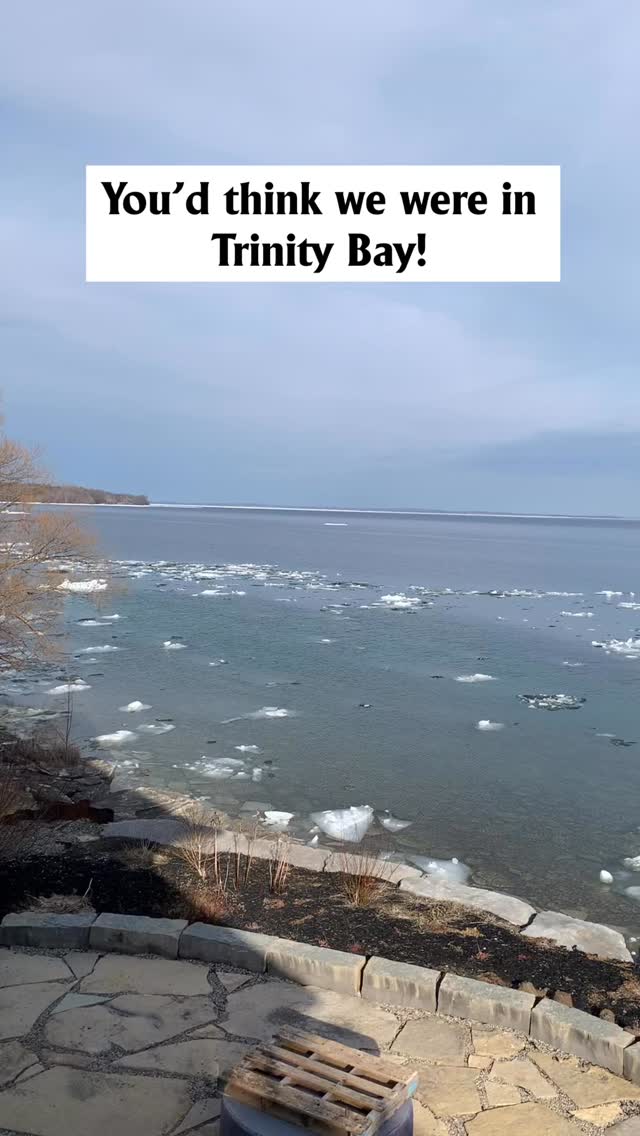 Winter's melting away.#aleviaskitchen #stlawerenceriver #lifeonthewater