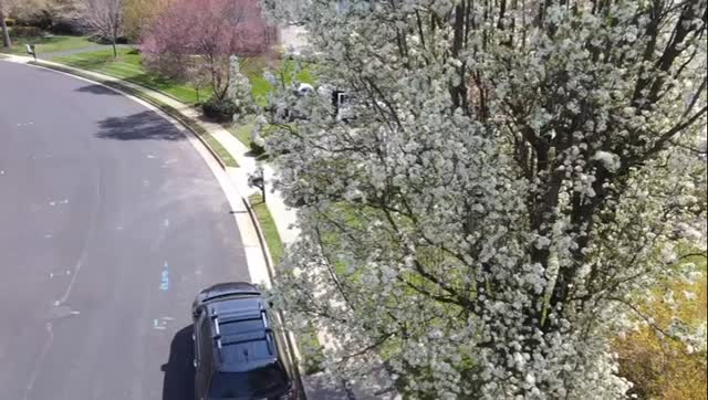 Hermy’s Roofing LLC
https://hermysroofingllc.com/?
We specialize in providing high-quality roofing solutions for residential & Commercial properties. Our team ensures precision in every detail, using durable materials to guarantee long-lasting results that exceed expectations.
“Se Habla Español”
📞 301-676-6884
📍 MD & DC LICENSED
Call us for quotes
.
.
.
#roofing #siding #gutters #generalcontractor #generalconstruction maryland washingtondc roofingsolutions dmv md va dc roofinglife roofers roofinginstallation