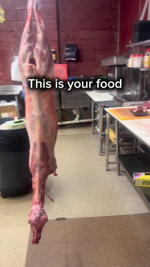 Most people have never actually seen their food like this.
We’ve normalized convenience so much that real sourcing feels extreme.
It’s not.
It’s just forgotten.
Sourced locally from @oasis.syracuse .
Thank you for helping our family keep traditions alive every year. Grateful for businesses like yours.🙏🏼
#locallysourced #lamb #greek #kalopasxa