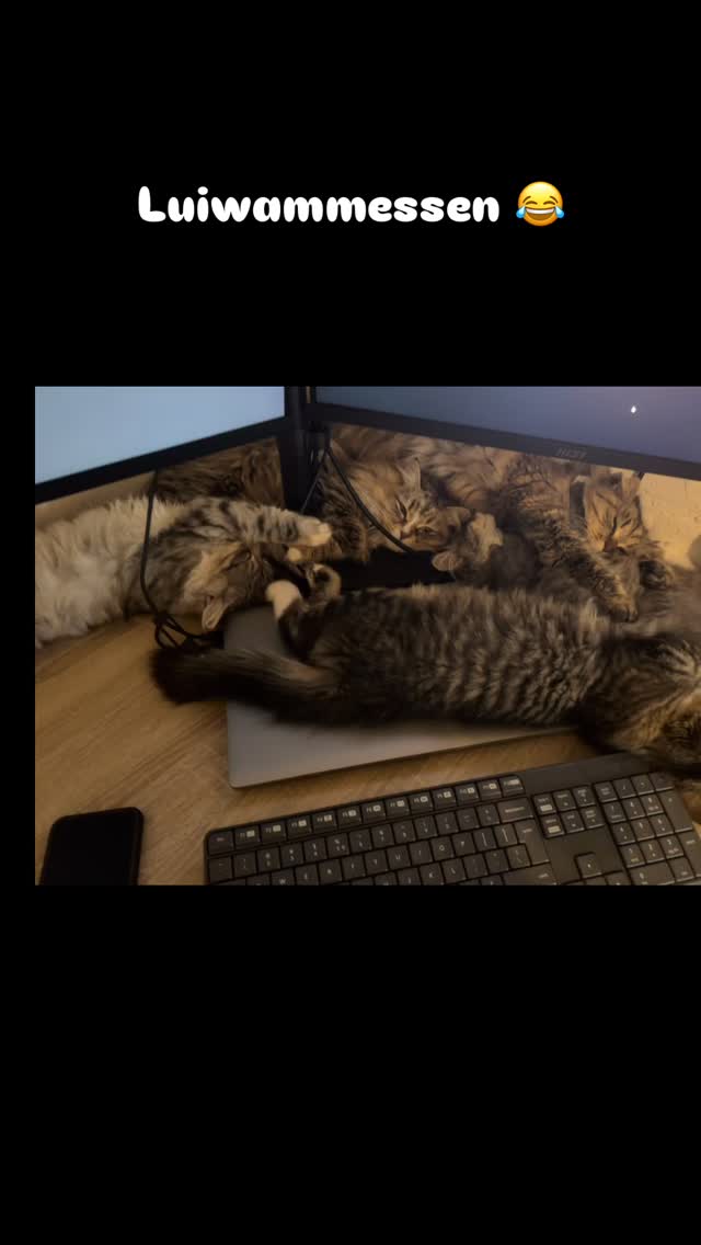 Hoooopje..!!!! 😂😂