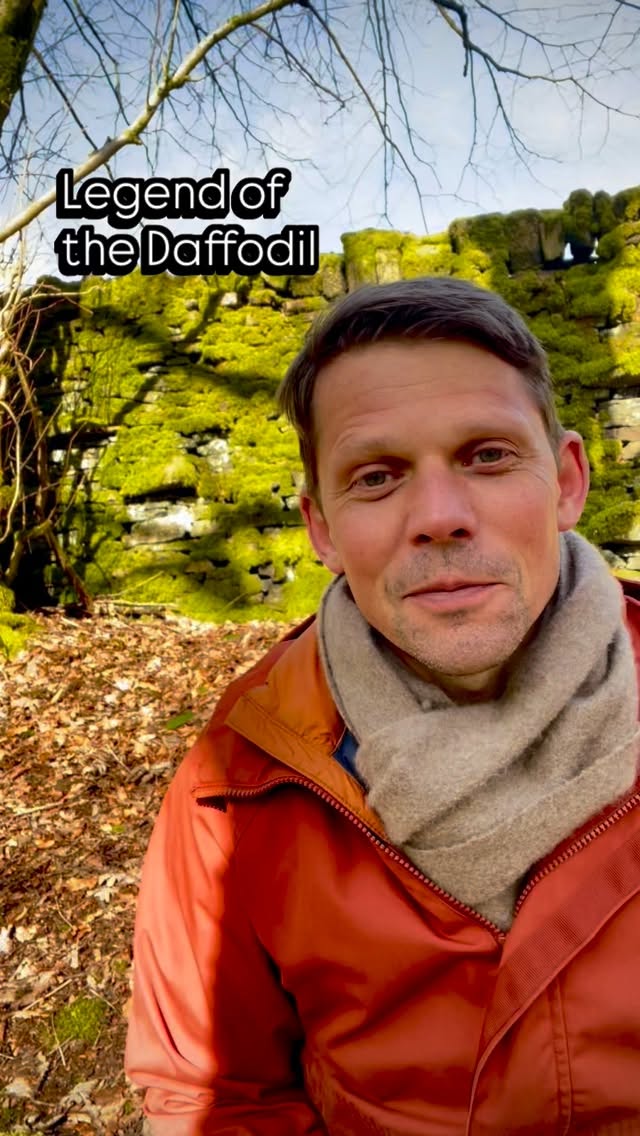 The Story Is Here – The Legend of the Daffodil
At last, the tale unfolds…
A story of inheritance, of choices made, and of the quiet wisdom held within the land itself. In this ancient telling, we are reminded that nature does not respond to force—but to understanding, patience, and place.
Told aloud, as stories were always meant to be, this is a tale that invites us to look more closely at the world around us—and to notice what grows, where, and why.
Listen now, and the next time you see a daffodil, you may see more than just a flower.
#daffodilseason #storyteller #oralstorytelling #nature #dannyenglishstories