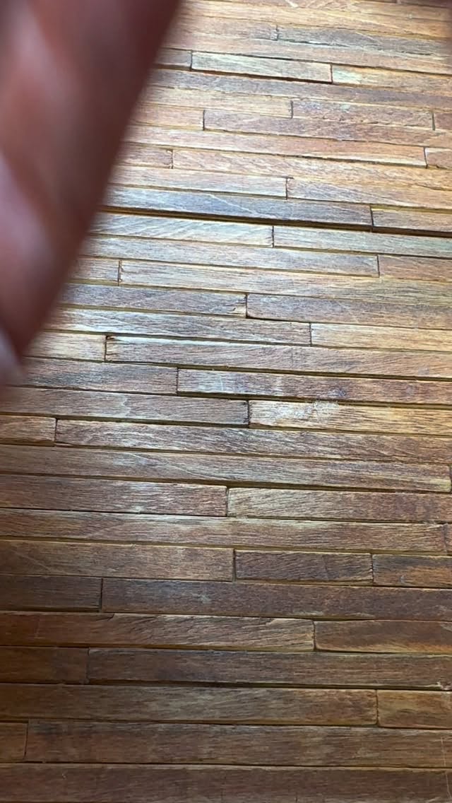 #weiner 🌭🌭🌭