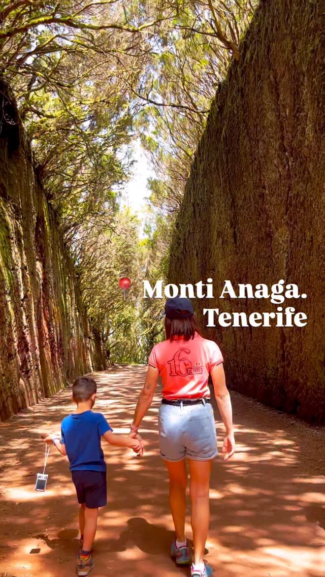 C’è un punto del Camino Viejo al Pico del Inglés in cui il sentiero si stringe tra due muri di roccia, come se la montagna volesse abbracciarti. La luce filtra appena, i passi si fanno più lenti e tutto intorno si spegne… resta solo il suono del tuo respiro e la magia selvaggia dei Monti di Anaga, nel cuore di Tenerife.
Il punto preciso di questo sentiero mozzafiato? 💬 Chiedimelo nei commenti !
#Tenerife #MontiAnaga #NaturaSelvaggia #valigiainfarinata