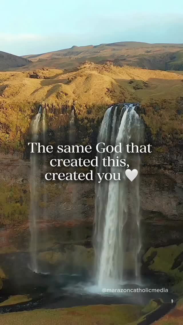 Sometimes we forget how valuable we are…
but the same creation around you reflects who you are ✨
You are not a mistake.
You are not random.
There is intention, love, and purpose in you.
Remember that today 🤍
#selfworth #faith #purpose #healing #innerpeace
