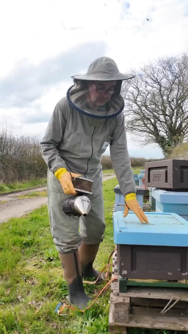 Adding a brood box to a colony.
#beekeeping #spring #springgrowth #beekeepingtips #beekeepinghowto