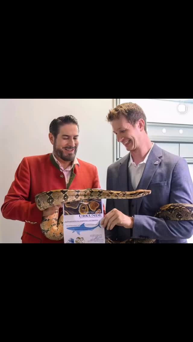 BOA CONSTRICTOR ESMERALDA 🐍 einfach zum Küssen 😍 Ein wunderbarer WOHLFÜHLTERMIN für ein so wichtiges Thema mit wunderbaren Tieren und Menschen 🐍 🐸 🦎 🐢 Ich freue mich sehr, als langjähriger Ehrenpate und nunmehriger Schirmherr diese neue Auffangstation eröffnen zu können 👍 Naturschutz, Artenschutz und Tierschutz liegen mir seit jeher am Herzen. Als Künstler, der eng mit der Natur verbunden lebt und arbeitet, war es mir ein Anliegen, diese wichtige Einrichtung zu unterstützen – denn Vielfalt ist ein Wert, der sowohl in der Kunst als auch in der Natur bewahrt werden muss. Als Intendant der Oper BURG GARS verbinde ich die unverstärkte Kunst der menschlichen Naturstimme unter freiem Himmel inmitten unserer Flora&Fauna mit dem tiefen Respekt vor der Schöpfung 🎶 🏰 Und so schlage ich als neuer Schirmherr auch die Brücke zum Haus des Meeres, um gemeinsam das oft exotische Wunder der Kunst&Natur und hilfesuchende Tiere zu unterstützen 🤝🫶 Kommt und staunt 👍🎶🏰🐢🦎
@clemensunterreiner @operburggars_official 🏰 DANKE dem ganzen Team des HDM @hausdesmeeres @schreiner_jeff @hans_meer #ClemensUnterreiner #hausdesmeereswien #operburggars #tierschutz #schirmherr 📸©️CU | Haus des Meeres | Oper BURG GARS | ORF
