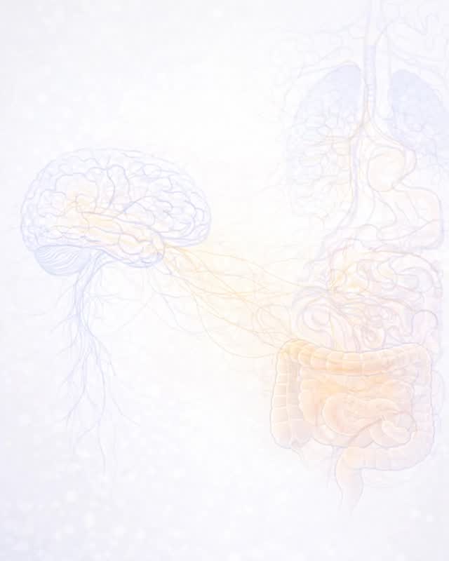 Neuro Gastro Zirvesi 2026 ile çok yakında bir aradayız.
Nörogelişim, bağırsak–beyin ilişkisi, beslenme ve iyi yaşam alanlarında alanında uzman isimleri bir araya getiriyoruz.
Bu özel günde sizlerle buluşmayı heyecanla bekliyoruz.
📅 13 Nisan 2026
📍 Atatürk Kültür Merkezi / İstanbul
⏰ 09:00 – 17:00
Kayıt olmak için linke, hikaye ve biyografi kısmından ulaşabilirsiniz.
#disleksi #nöroçeşitlilik #özelöğrenmegüçlüğü #dyslexia #türkiyedisleksivakfı