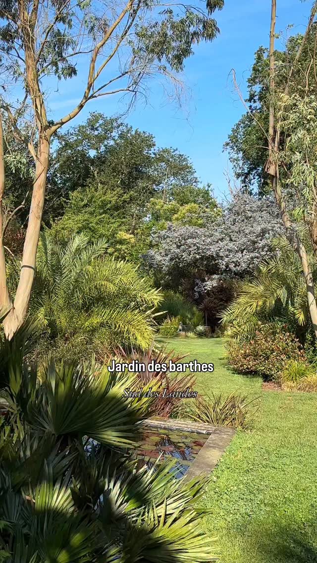 Le jardin des barthes est une évasion sous les tropiques une immersion végétale totale et apaisante 8 tableaux mettent n scène 2500 essences sur 5 hectares de paysages vallonné et les Pyrénées en toile de fond
Ouverture du jardin des barthes le 25 avril 14h30
sud des landes portes du pays basque
#jardin #jardinexotique #landes #quefairedansleslandes #plantslover