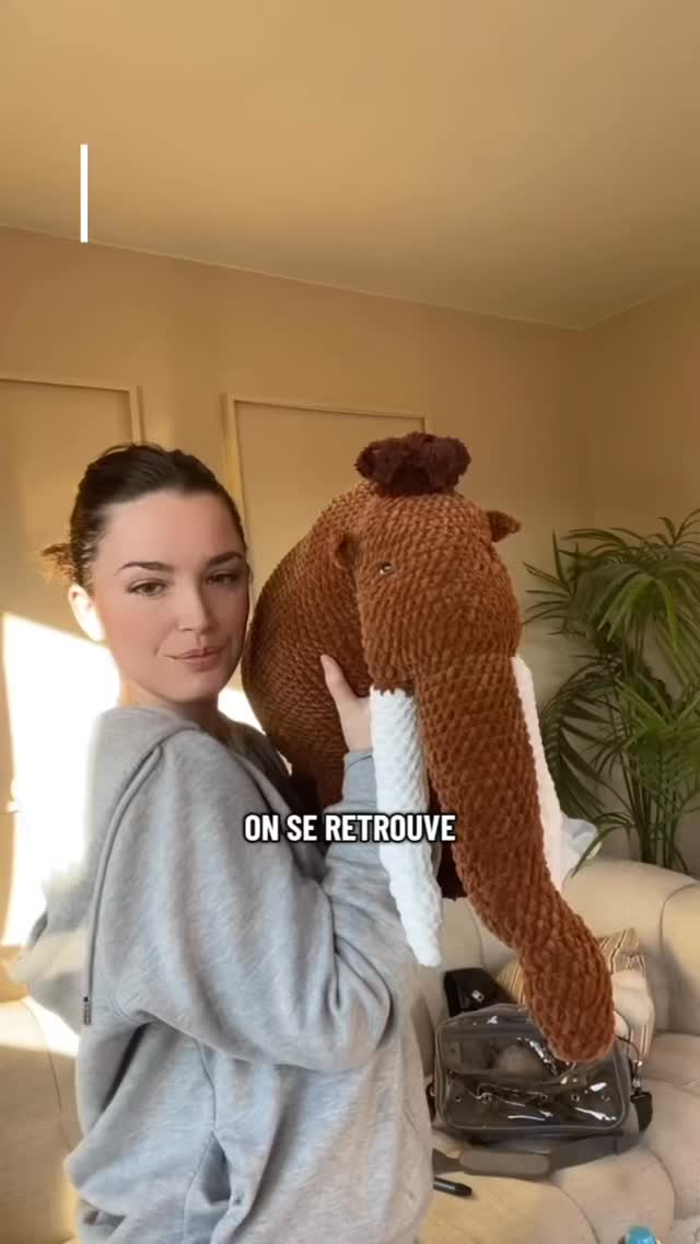 J’ai crocheté Manny le mammouth 🦣🤎 quel personnage ensuite ? #iceage #crochet #vlog #voixoff #manny