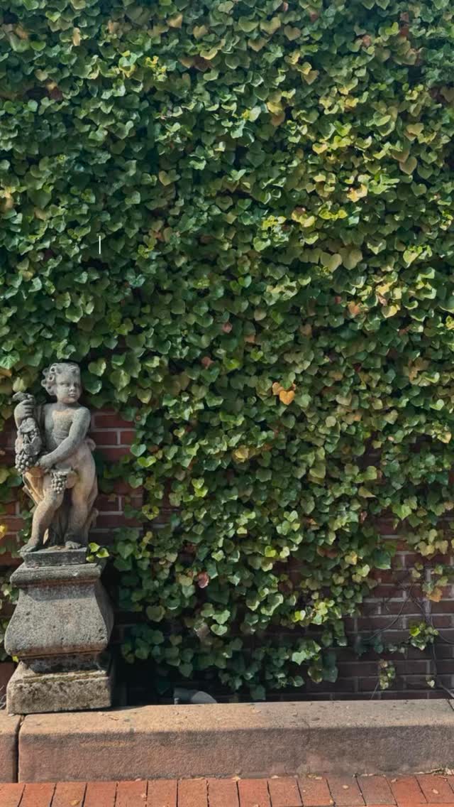 April, but with grace.
Not pressure.
Not perfection.
Not trying to prove anything.
Just steady growth.
Learning to move with intention—
not noise.
Learning to take care of what God has entrusted to me—
my mind, my body, my soul.
Setting boundaries without guilt.
Choosing action over just saying it.
Letting myself feel… and then letting it pass.
Because leadership isn’t about doing the most—
it’s about doing what matters well.
And if I’m honest, I’m not trying to rush anything this month.
I’m building.
I’m refining.
I’m becoming.
All while remembering—
I’m already sitting in prayers I once begged God for.
That alone deserves my gratitude.
Grace for where I am.
Faith for where I’m going. 💜 #leadership #lead #faith #womenwholead #spiritualgrowth