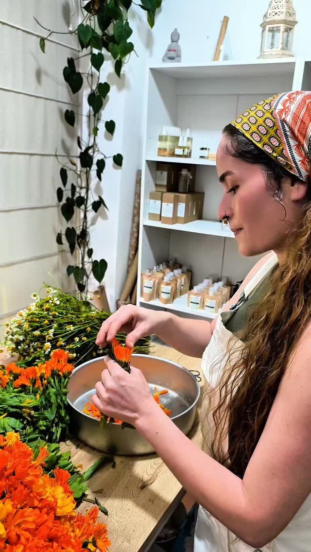 ✨ Detrás de cada producto hay mucho más de lo que se ve…
Hay pruebas, decisiones, tiempo y aprendizaje 🌿
Hay ingredientes elegidos con intención, fórmulas que se ajustan una y otra vez, y un proceso que cuido en cada detalle.
Todo está hecho por mis manos, con calma y con propósito ✨
Porque para mí no se trata solo de crear productos…
se trata de ofrecerte algo honesto, pensado para cuidar tu piel de verdad 💛
#organico #natural #cosmeticanatural #artesanal #ecoamigable