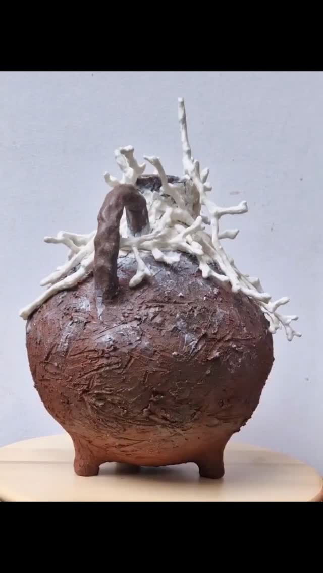 De kruik die ik laatst maakte heb ik na de biscuitstook bewerkt met porseleinslib en takjes van porselein. Hier en daar transparante glazuur aangebracht.
Daarna een hoge stook op 1250°C, en dit is het resultaat. De donkere kleur van de roodbakkende klei combineert mooi met het zachtwitte porselein. Tevreden met het resultaat.
.
#ceramicart #natureinspires #porcelain