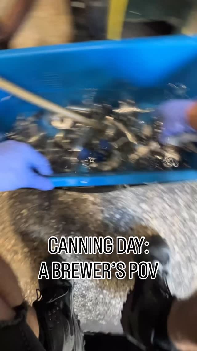 POV: you’re on the canning line bringing another fresh drop to life 🍻
We’re pushing out 1–4 new releases every week, so this thing rarely gets a break.
Hit follow and don’t miss what’s dropping this week 👀
(usually Fridays 😉)
#craftbeer #newbeer #orlando #florida #mco