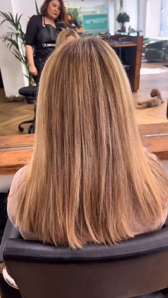 Manchmal ist weniger mehr ✨
Mini Touch-up, maximaler Glow.
#freshhair #glow #hairinspo #balayagemünchen #schwarzkopfprofessional