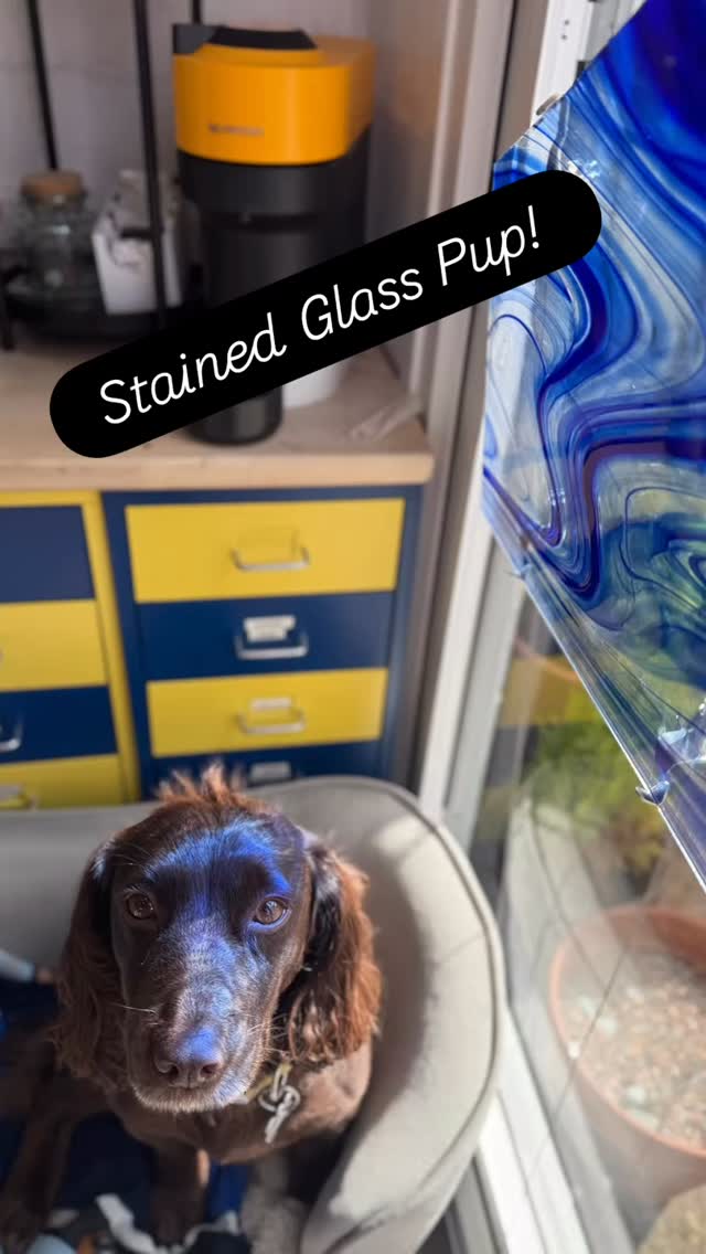 “It’s a hard life being mummy’s little workshop buddy…… on cold days, I snuggle up on my little studio chaise longue next to the heater and supervise to make sure she stays focused…. But on sunny days like this, she just keeps making me pose for photos whenever her pretty glass does stuff like this!”
#stainedglass #StudioLife #dogsofinstagram #Coworker #colours
@stewartlavender @gatherennerdale @rheged_centre @the_makers_mill @make_it_at_market @britboxtv @contemporaryglasssociety @edenvalleyartisticnetwork @blackwellartsandcrafts @visitkeswick @artsandcraftsinkeswick @arts_cumbria
